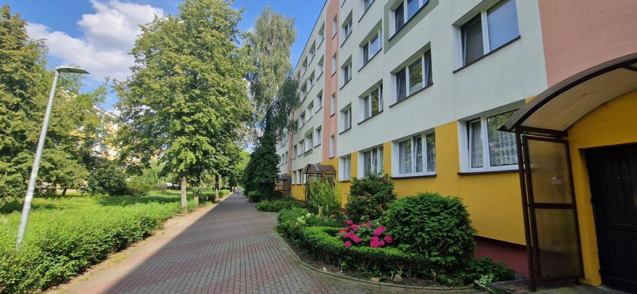 Apartament Toruń Orbita - B&B