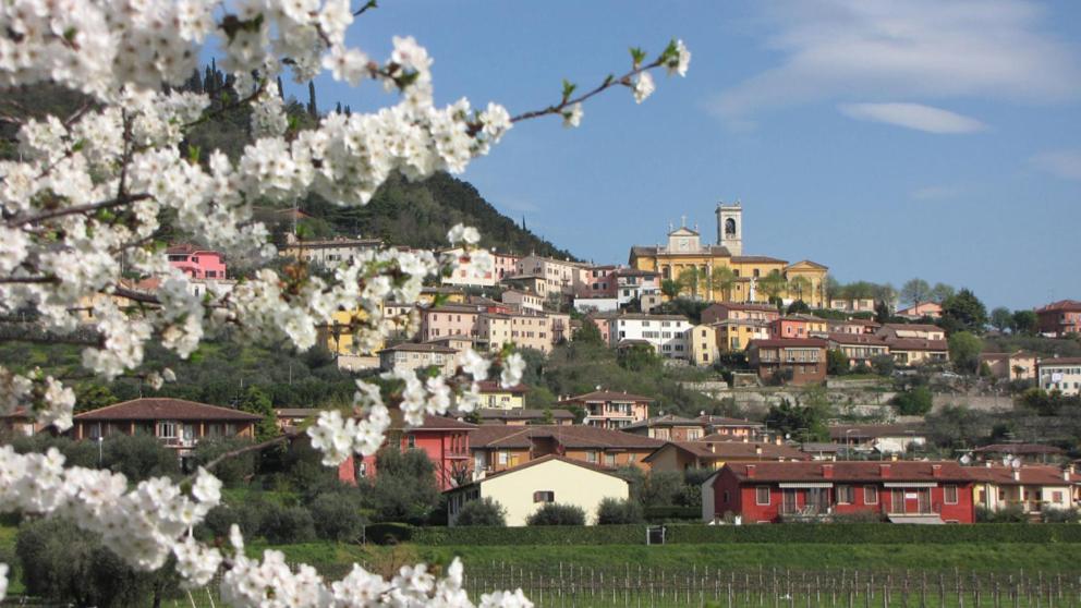 Aurora - B&B Cavaion Veronese