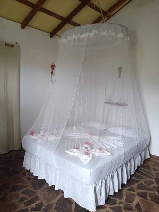 Finca Montaña Sagrada - B&B Mérida