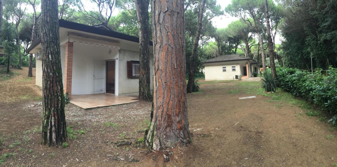 Chalet mit 2 Schlafzimmern