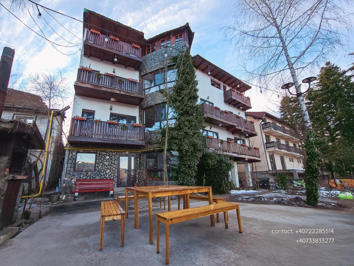 Pensiune turistica Milcov-VLADET - B&B Predeal