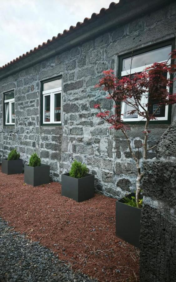 Cá Por Casa Pico-Criptoméria - Chambres d’hôtes Prainha de Baixo