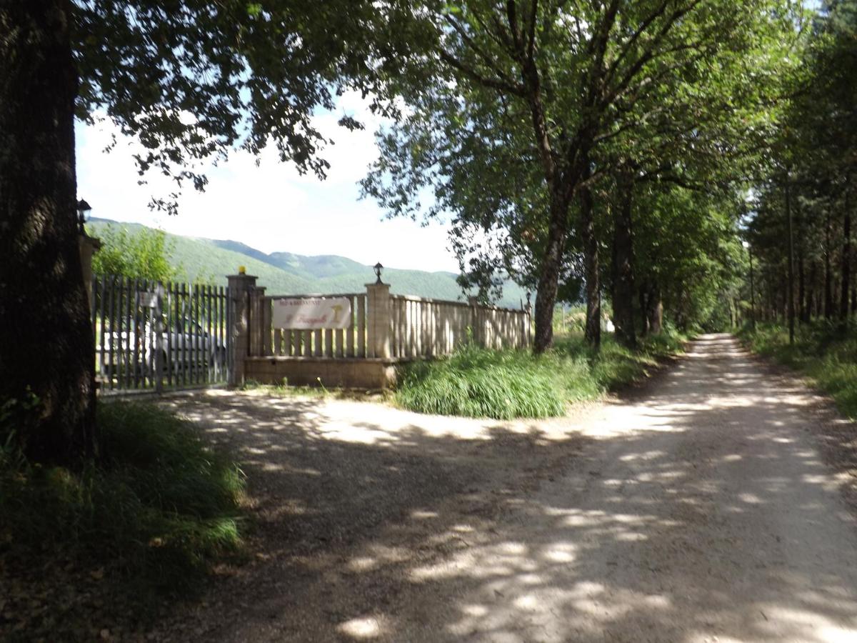 B&B Il Pizzagiallo - B&B