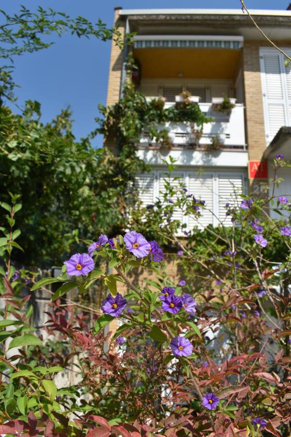 Chalet Baldissera - B&B
