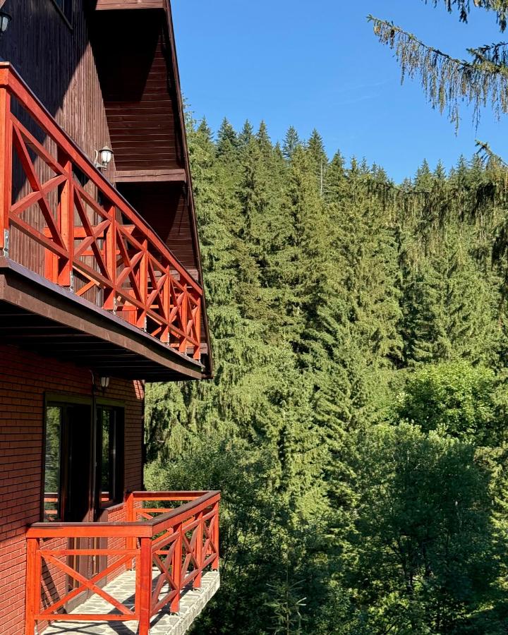 Vila Casa Familiei Poiana Braşov - B&B Poiana Brasov