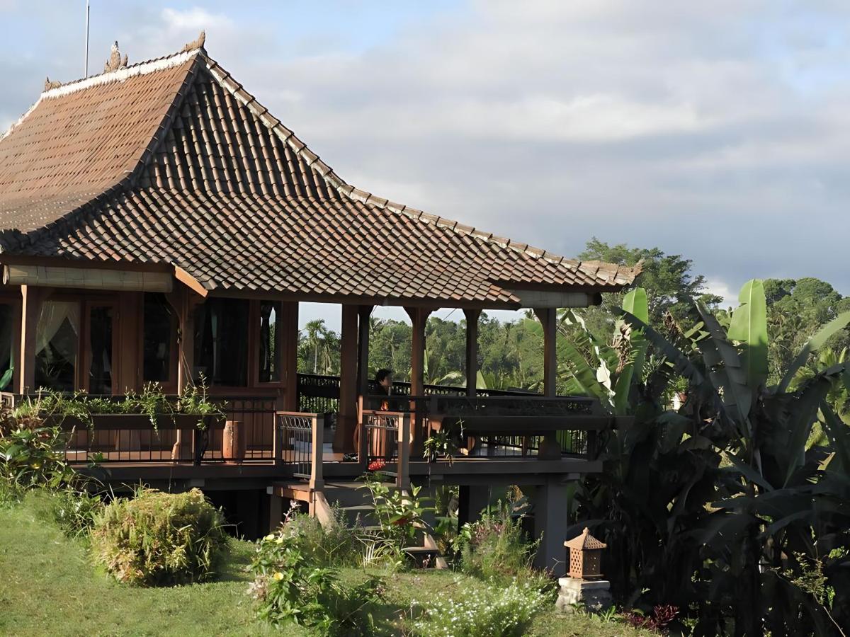 Rumah Pacung - B&B