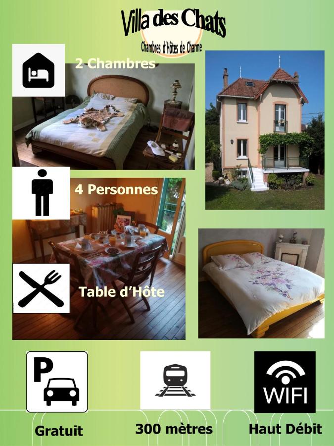 la villa des chats - B&B