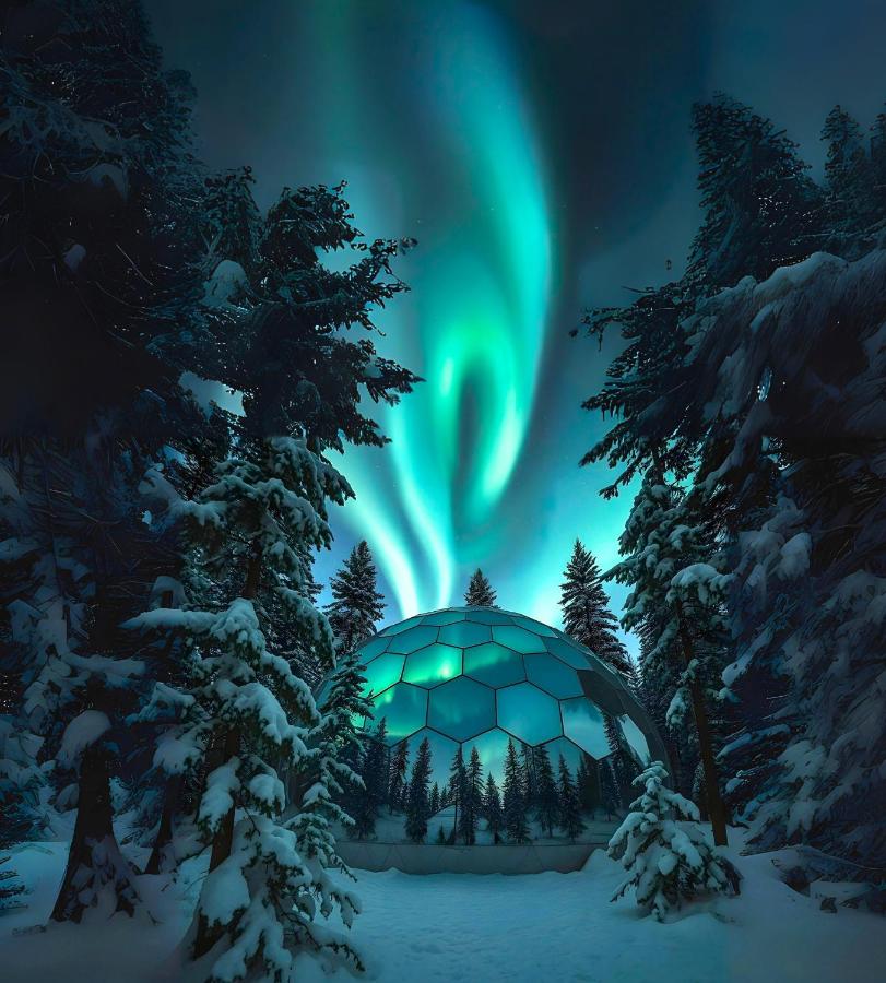 SKOG - Aurora Igloos Resort - B&B Kalix