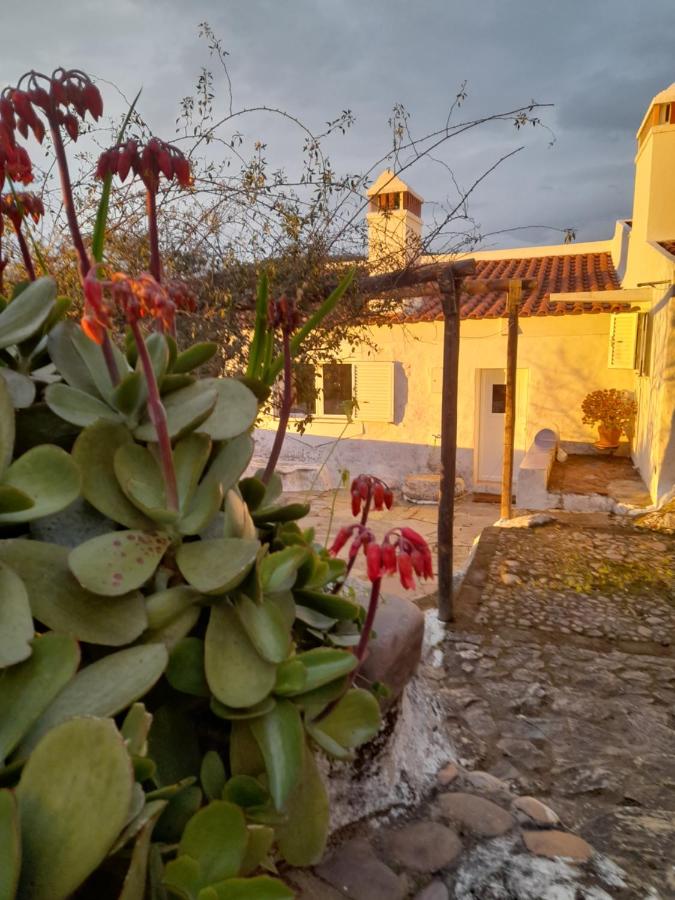 Olive -Casa da Boavista - B&B Alegrete