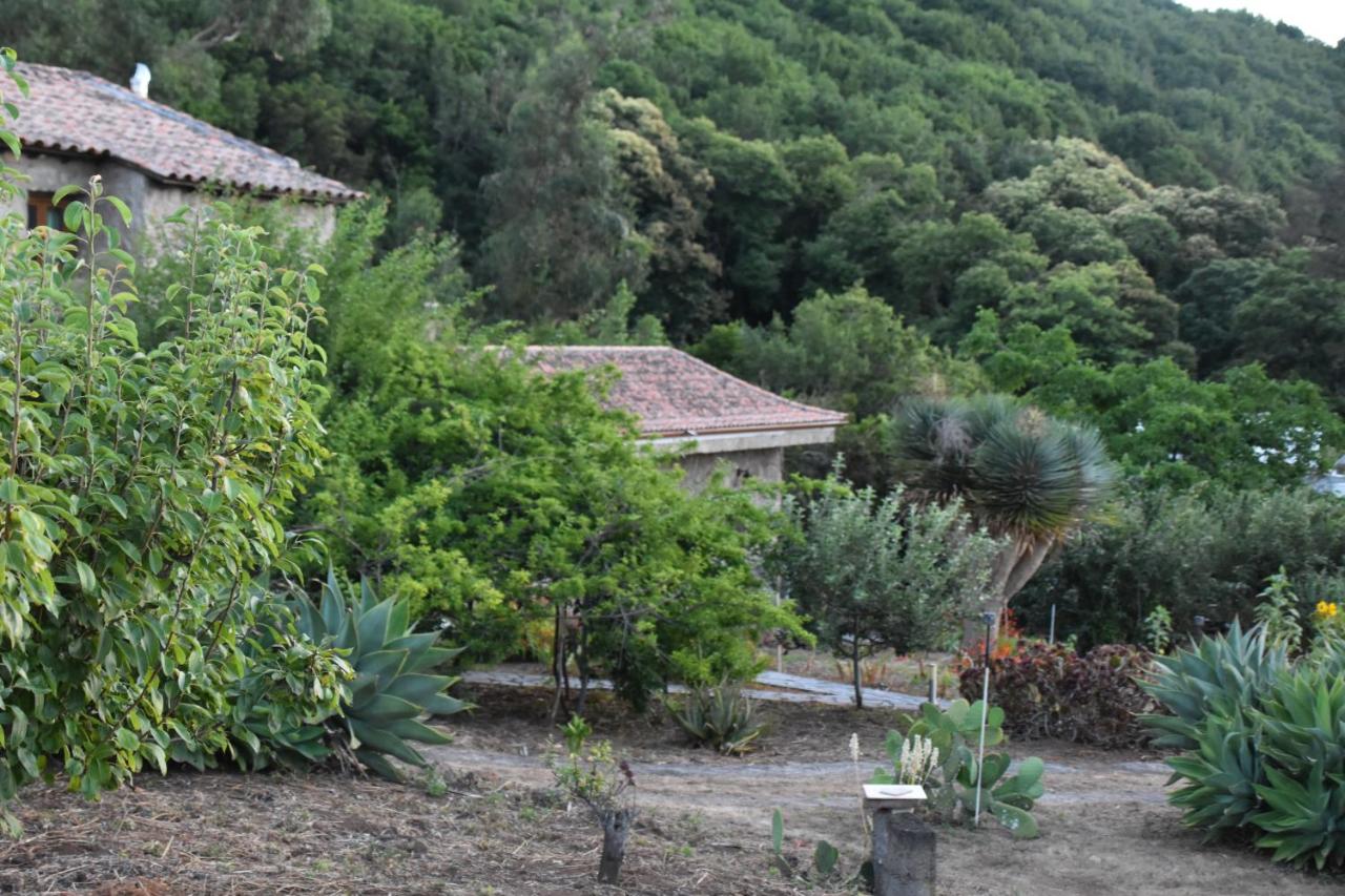 Casa Rural La Gustoza - B&B