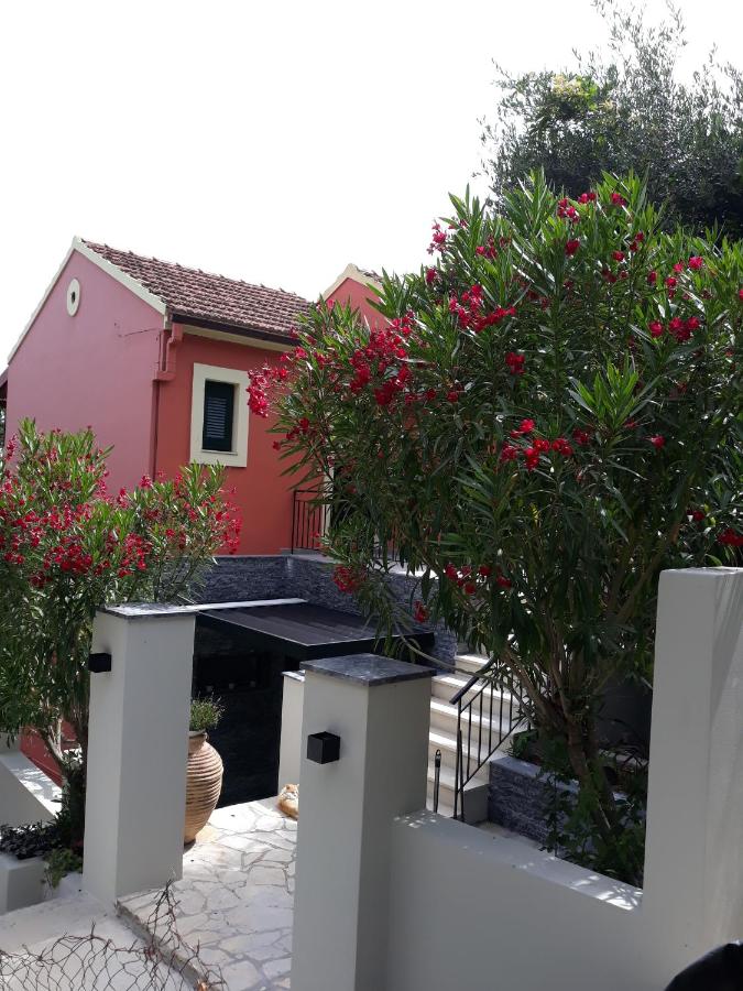 Milka Studios - B&B Barbáti