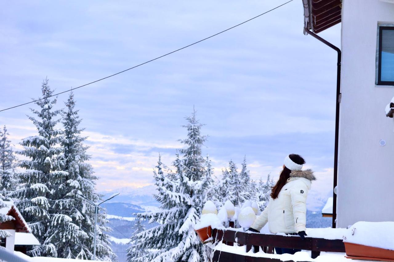 Irenne - B&B Păltiniș