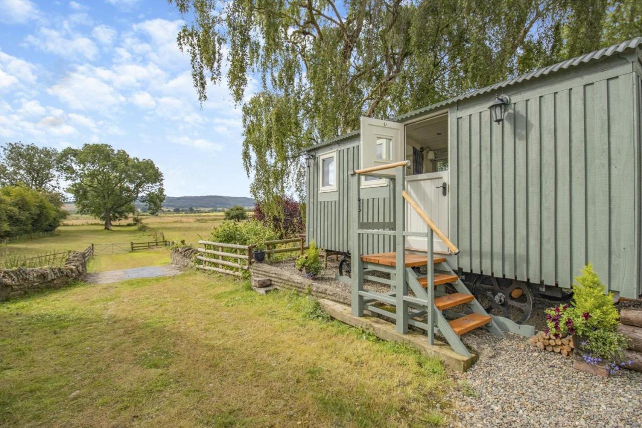 Badger Hut - B&B