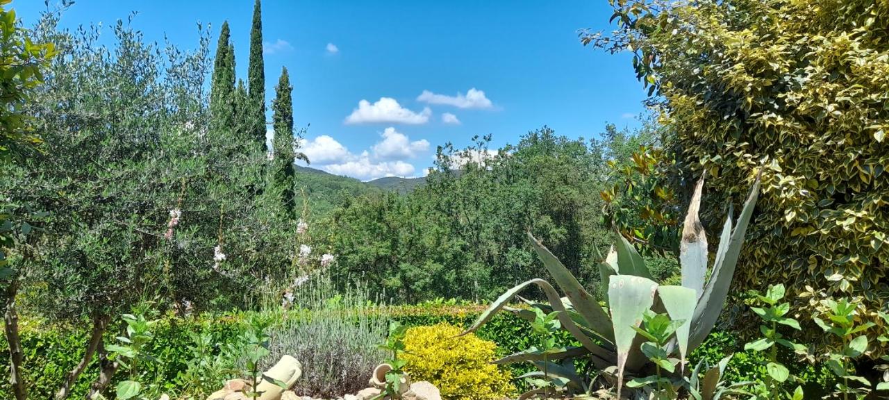 Les Hauts de Cabanoule Générargues - B&B Générargues