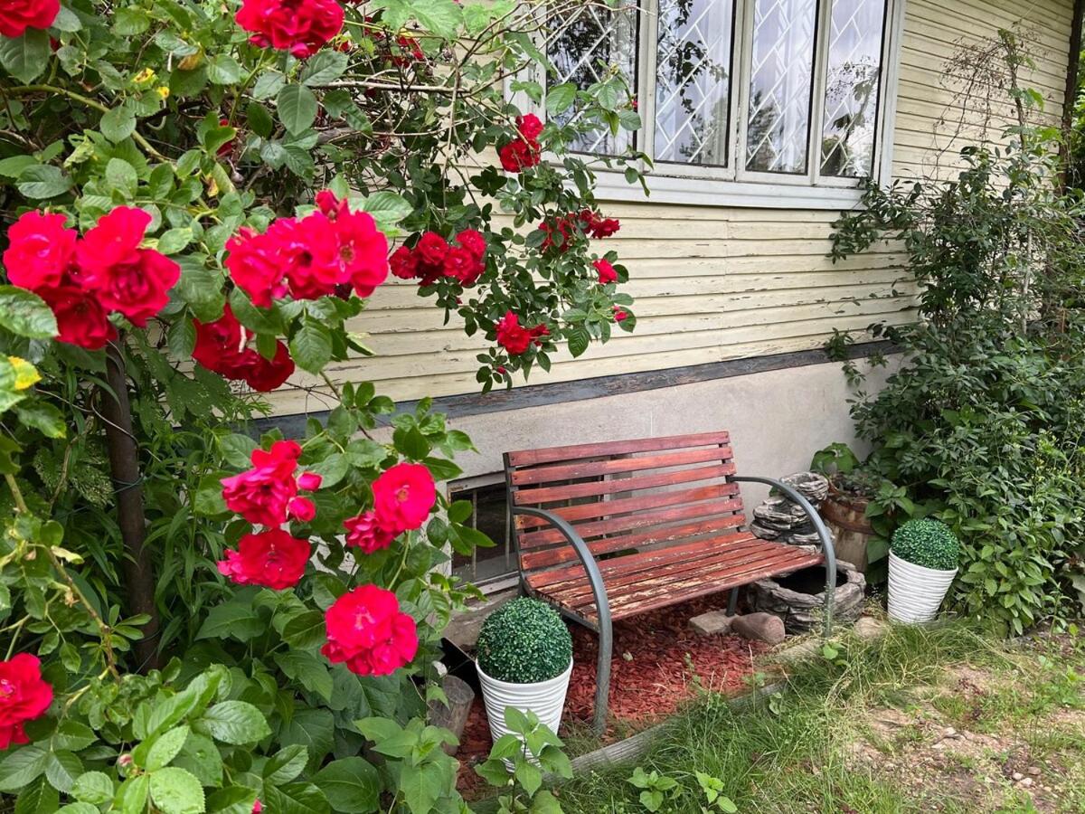 Beloved Family Nest - Ferienwohnung Vosyliukai
