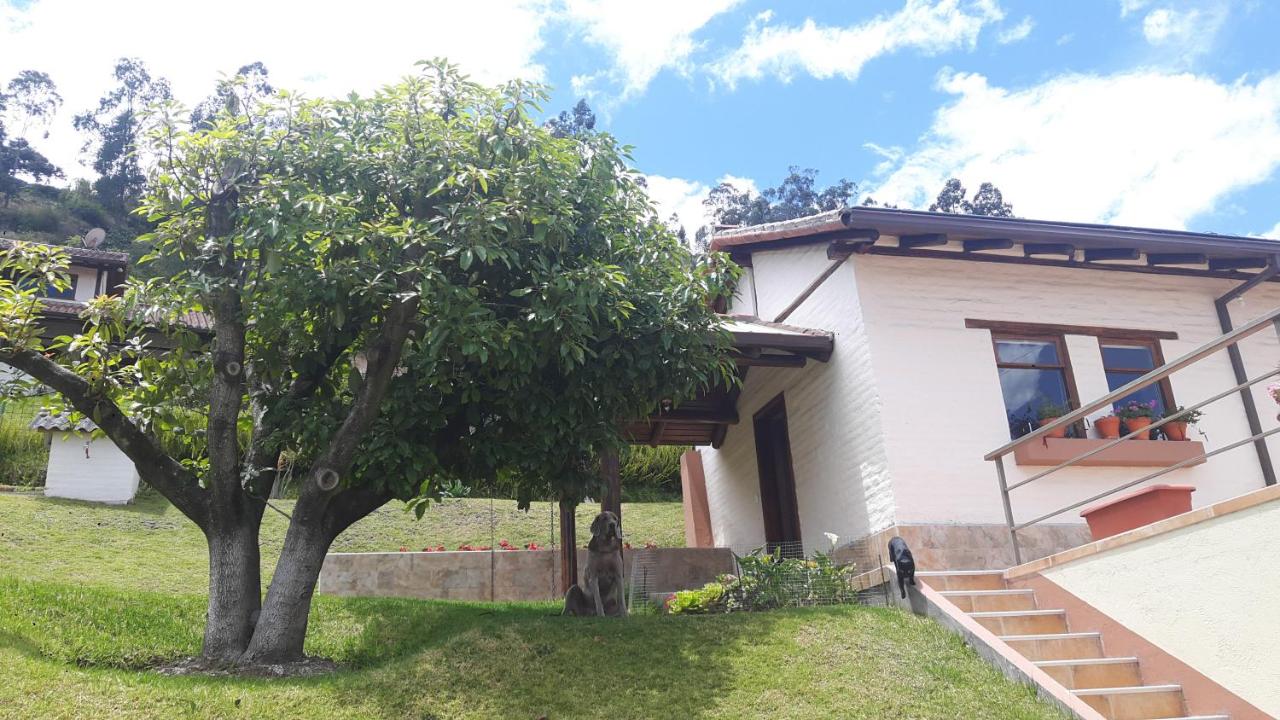 Altamira Apart Suites Tumbaco - Chambres d’hôtes Hacienda Rumihuaicu