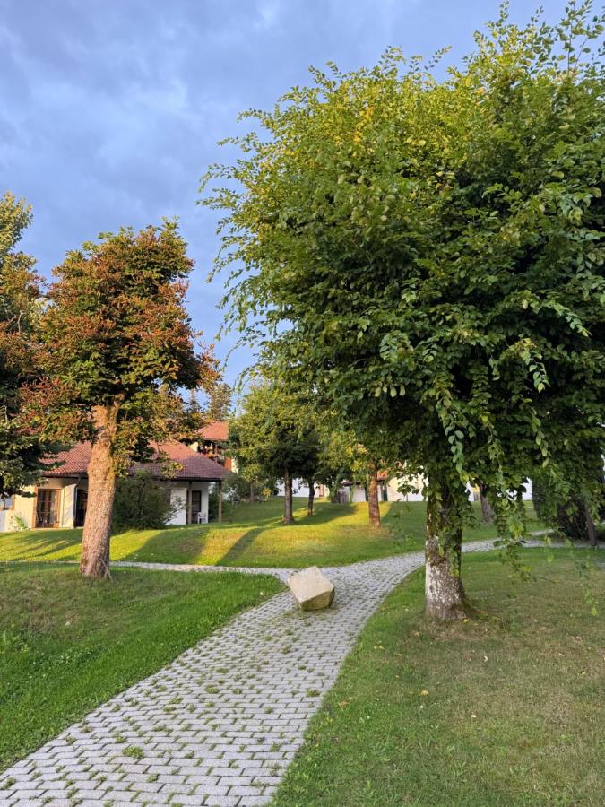 Wald, Ruhe, WOW ! Deine Auszeit im Bayerischen Wald, Nähe Passau - B&B Waldkirchen