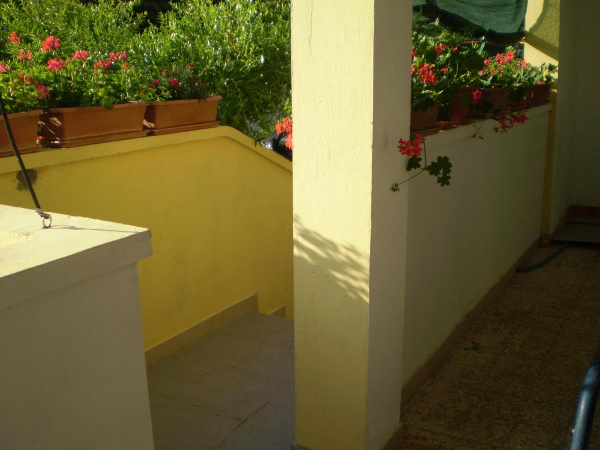 Apartments Kocijan - B&B