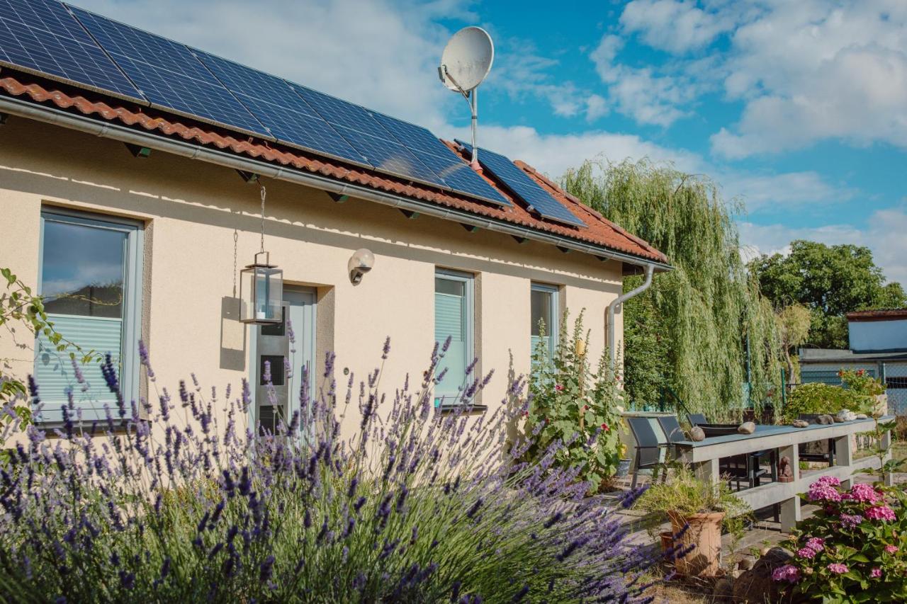 FEWO KOI mit Teichblick - B&B Nordhausen