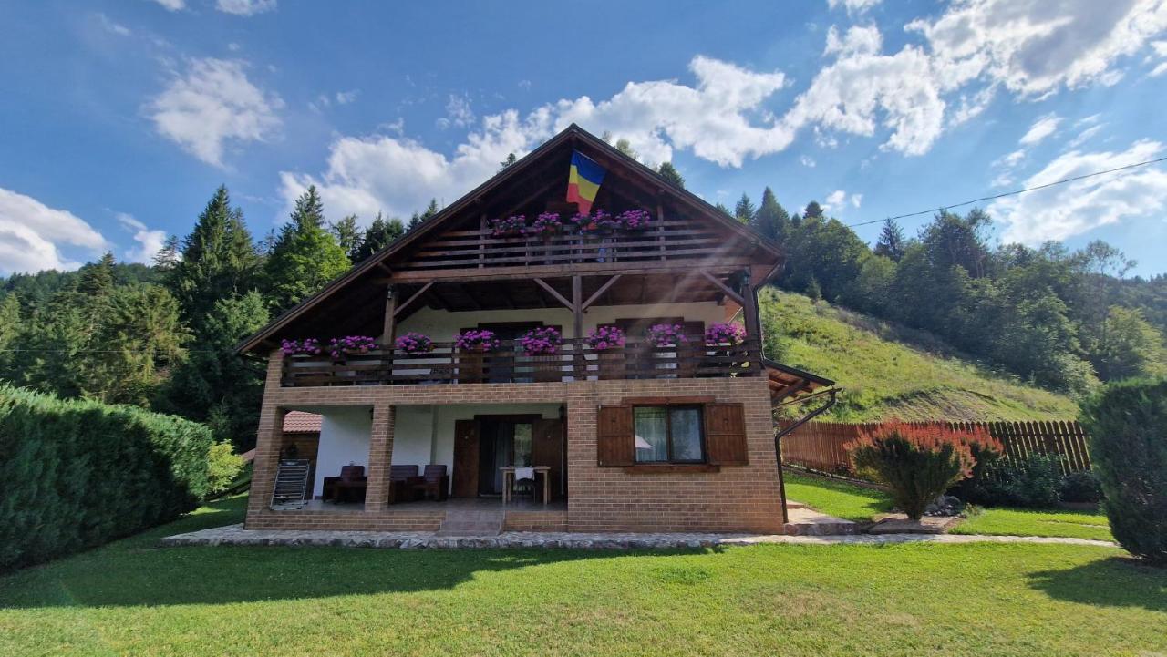 Casa Bella - B&B Vadu Moţilor