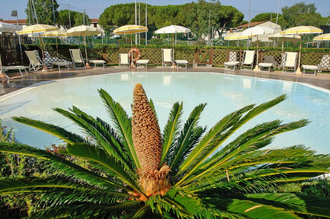 Apartment in Vada near restaurants - Ferienwohnung La Cinquantina