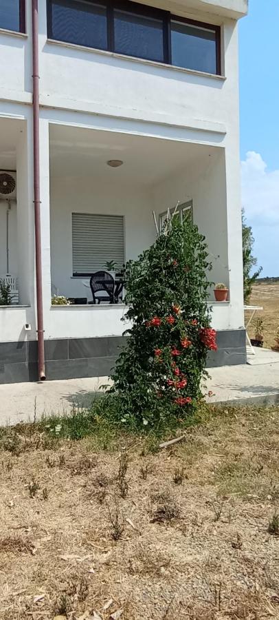 Il giardino del Sole - B&B Florinas