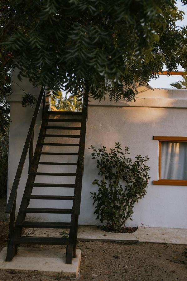 Villa Gardenia - Oceanfront Casa Mango w Pool - Chambres d’hôtes Todos Santos