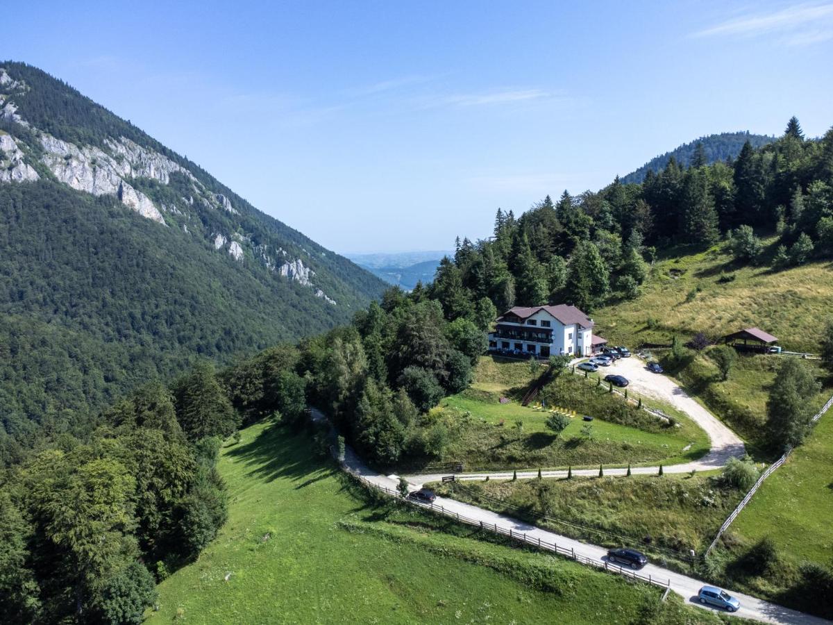 Pensiunea Magura - Chambres d'hôtes Măgura