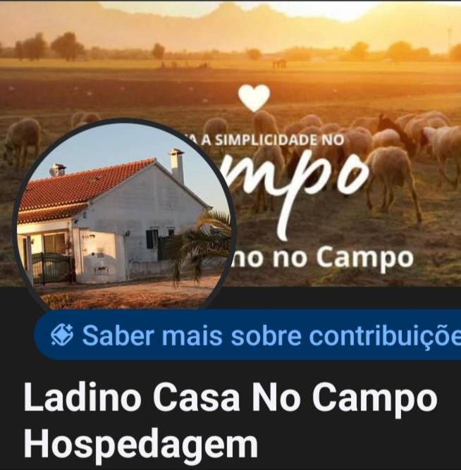 Casa Ladino no Campo - B&B