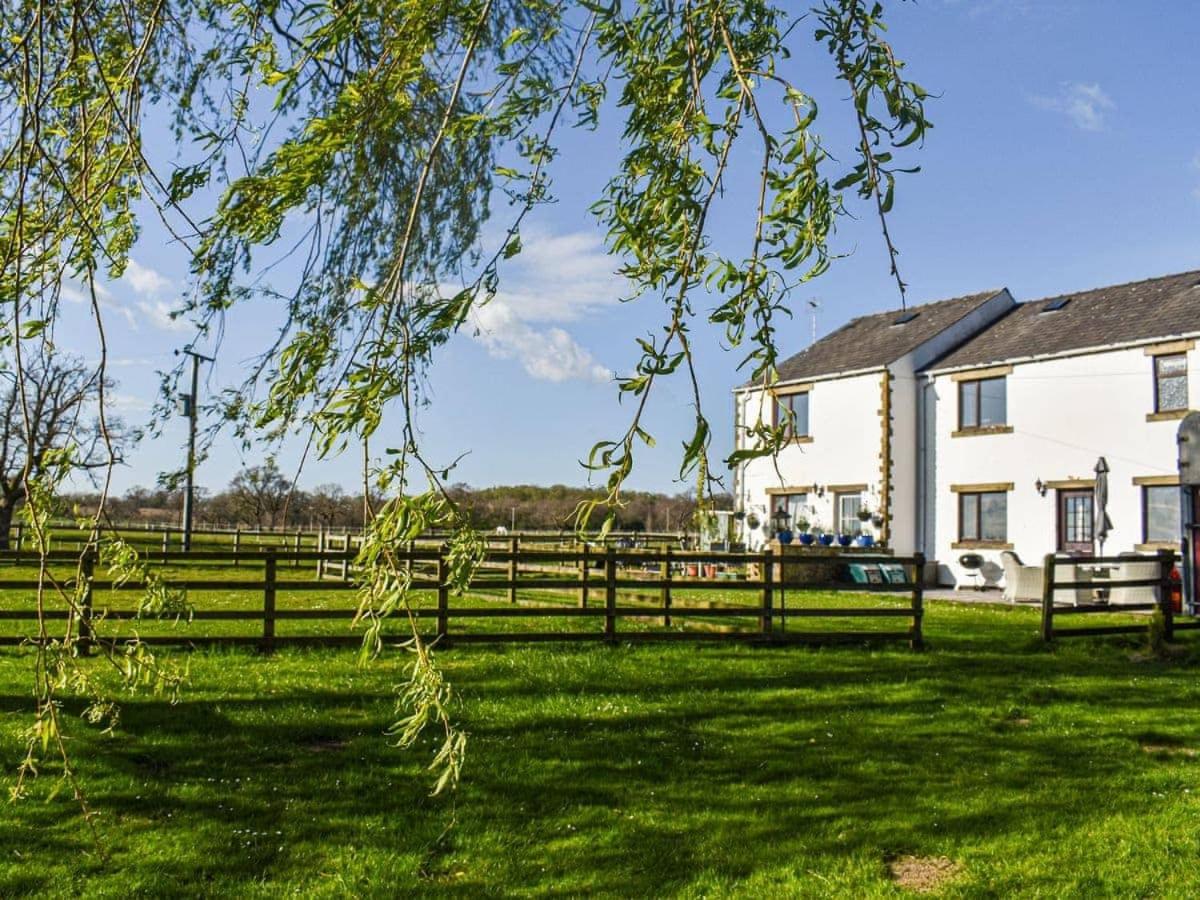 Mallard at Spring Head Farm - B&B Bolton by Bowland