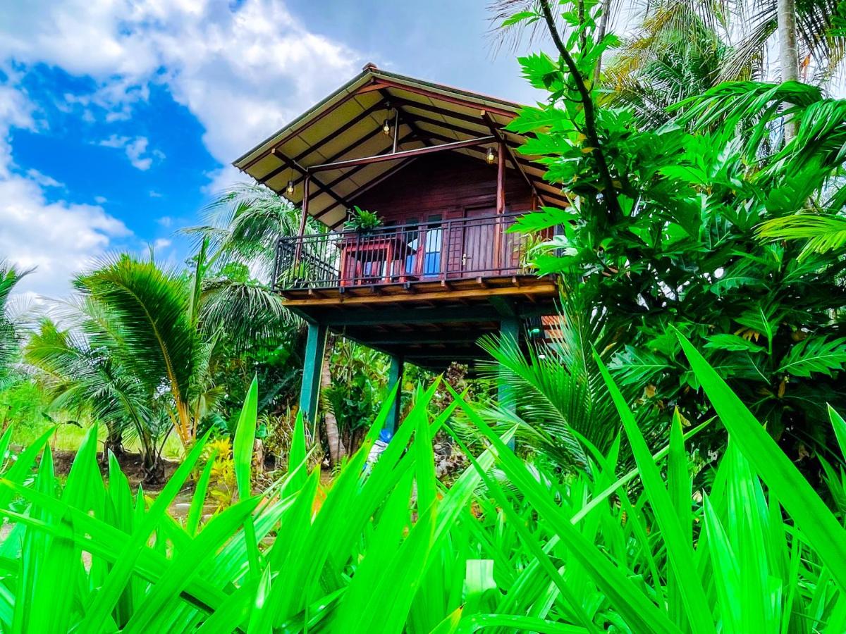 Sigiri Sandilu Homestay - B&B