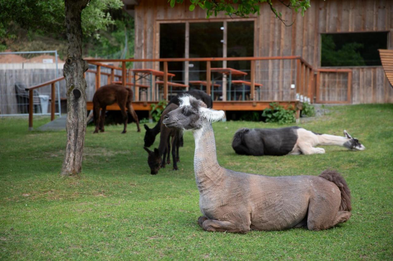 Pirker Anden Chalet - Chambres d’hôtes Pirk