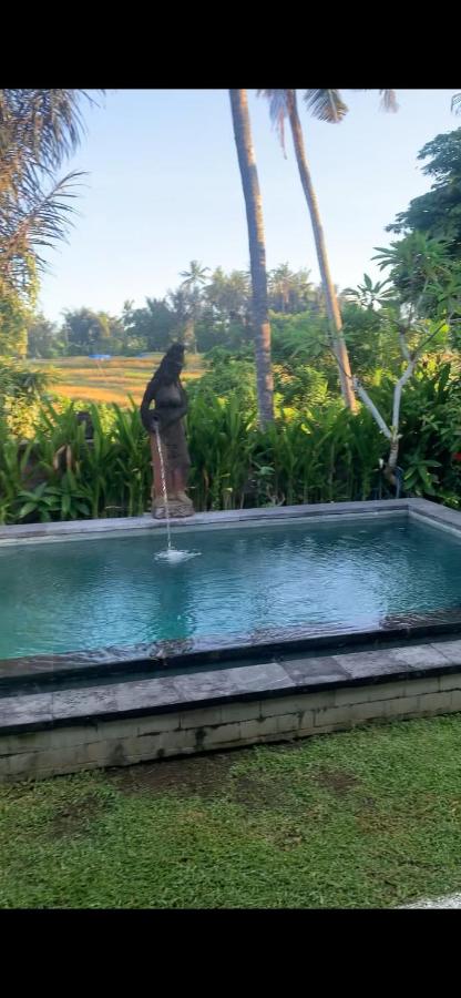 Shima House - B&B