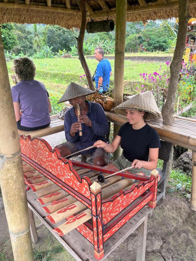 Habitación Doble Estándar - 2 camas