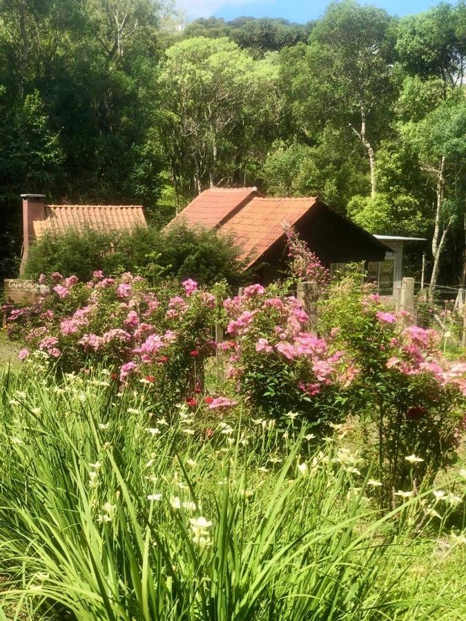 Chalé com Vista para Vinhedo e Natureza - B&B Guarapuava