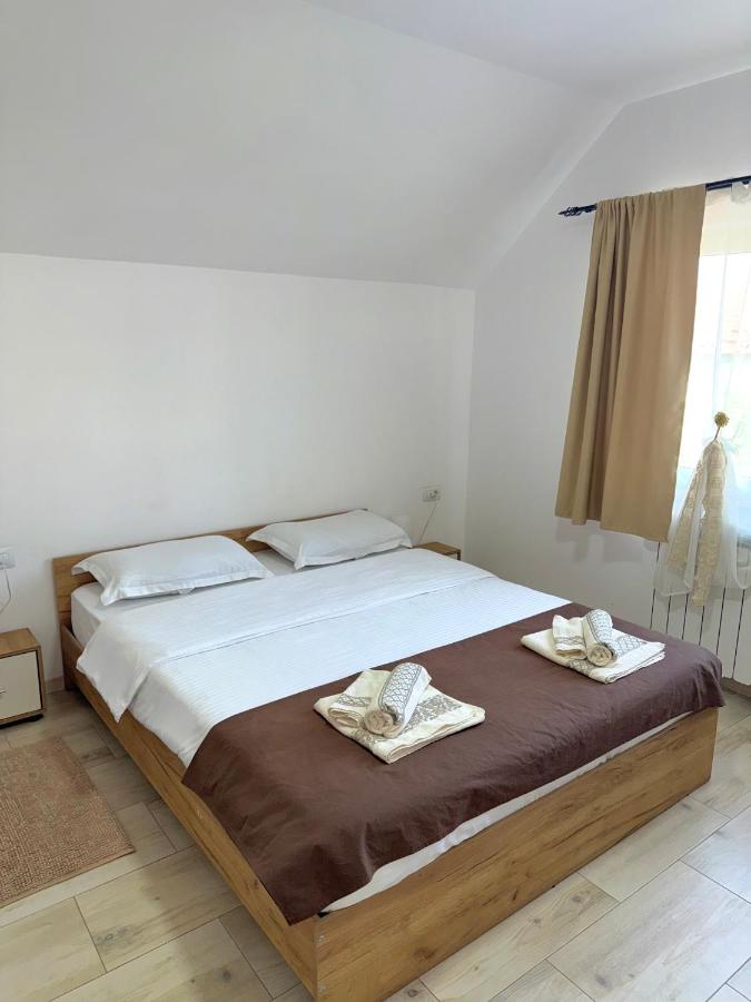 Pensiunea Axenia Ale - B&B Vişeu de Sus