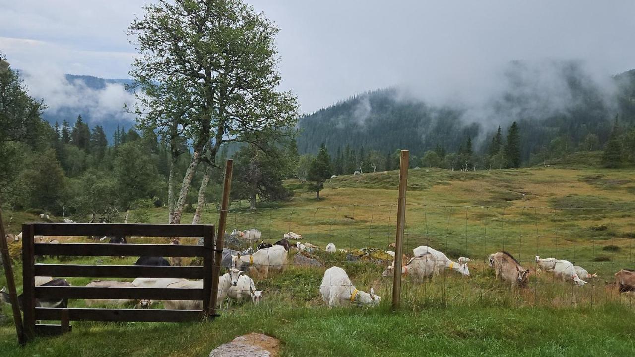 Authentic Secluded Mountain Gem in Telemark - B&B Smørklepp