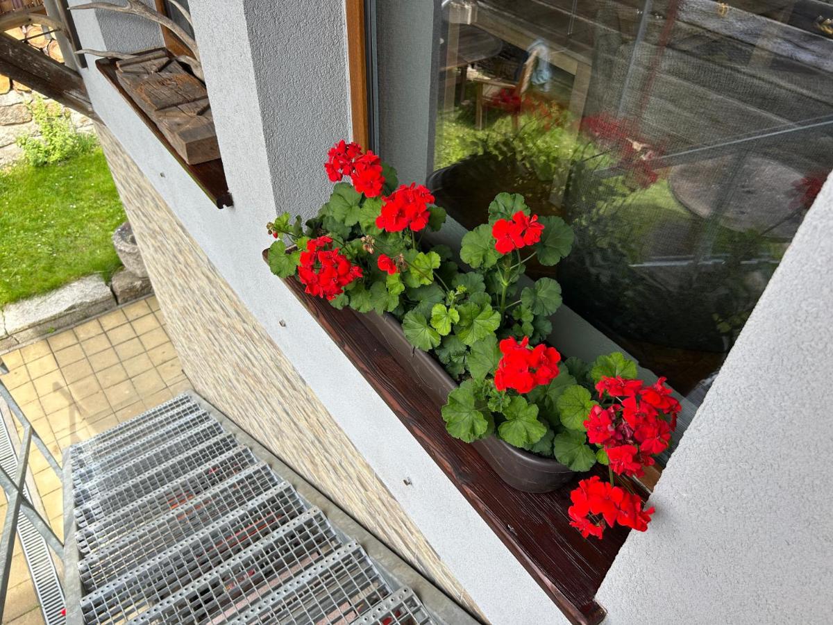 Apartman Vejminek - B&B