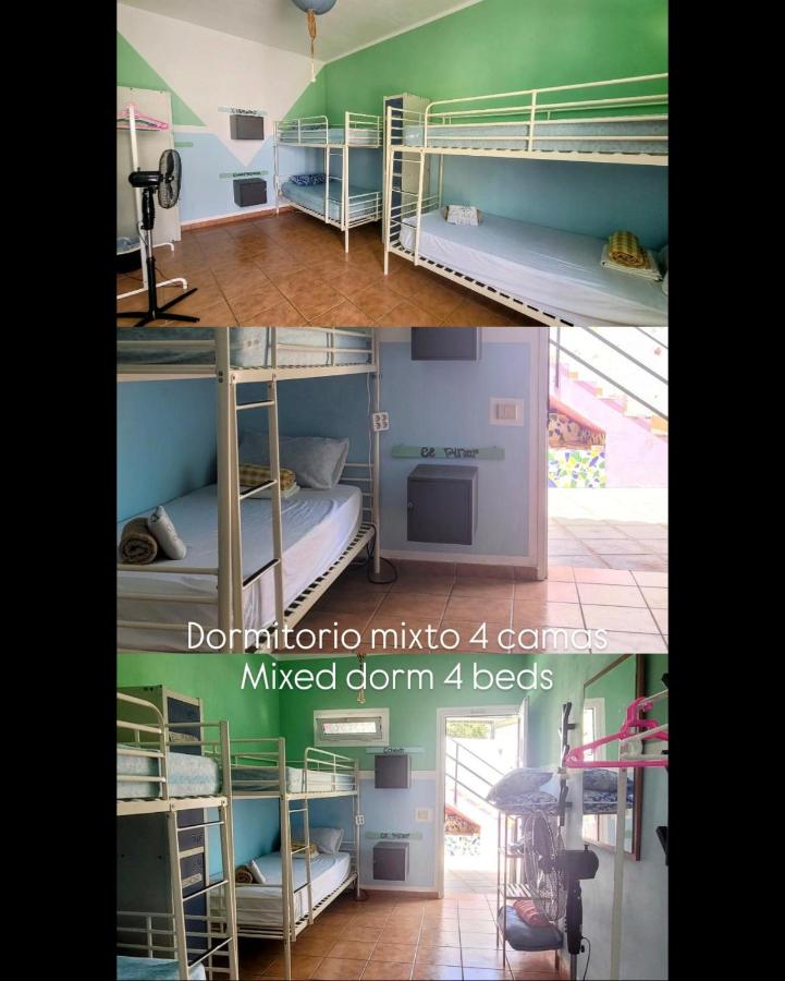 Einzelbett im gemischten Schlafsaal