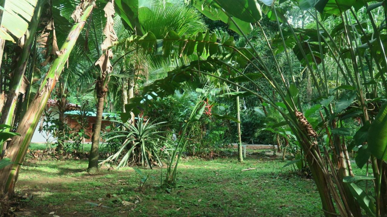 Casa Moabi - B&B Puerto Viejo de Sarapiqui