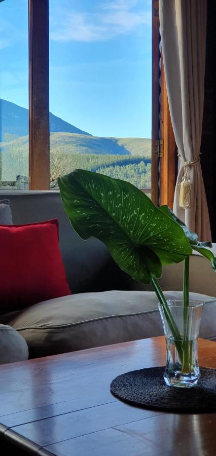 Summer Villa - B&B