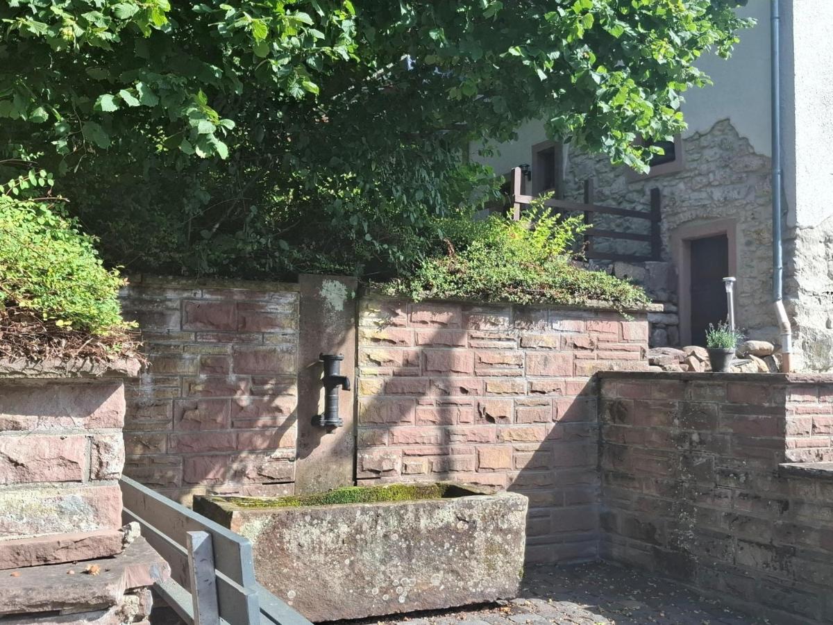 Ferienparadies in der Vulkaneifel - B&B Roth