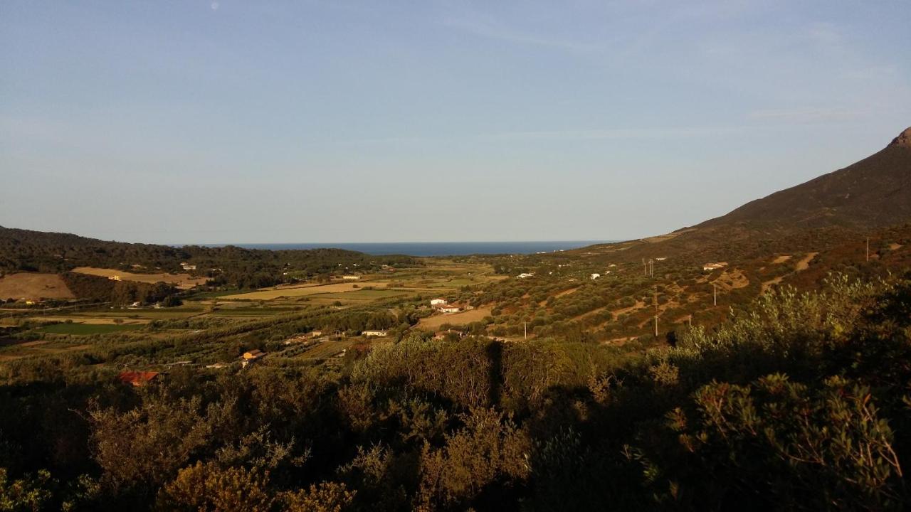 Majori - B&B