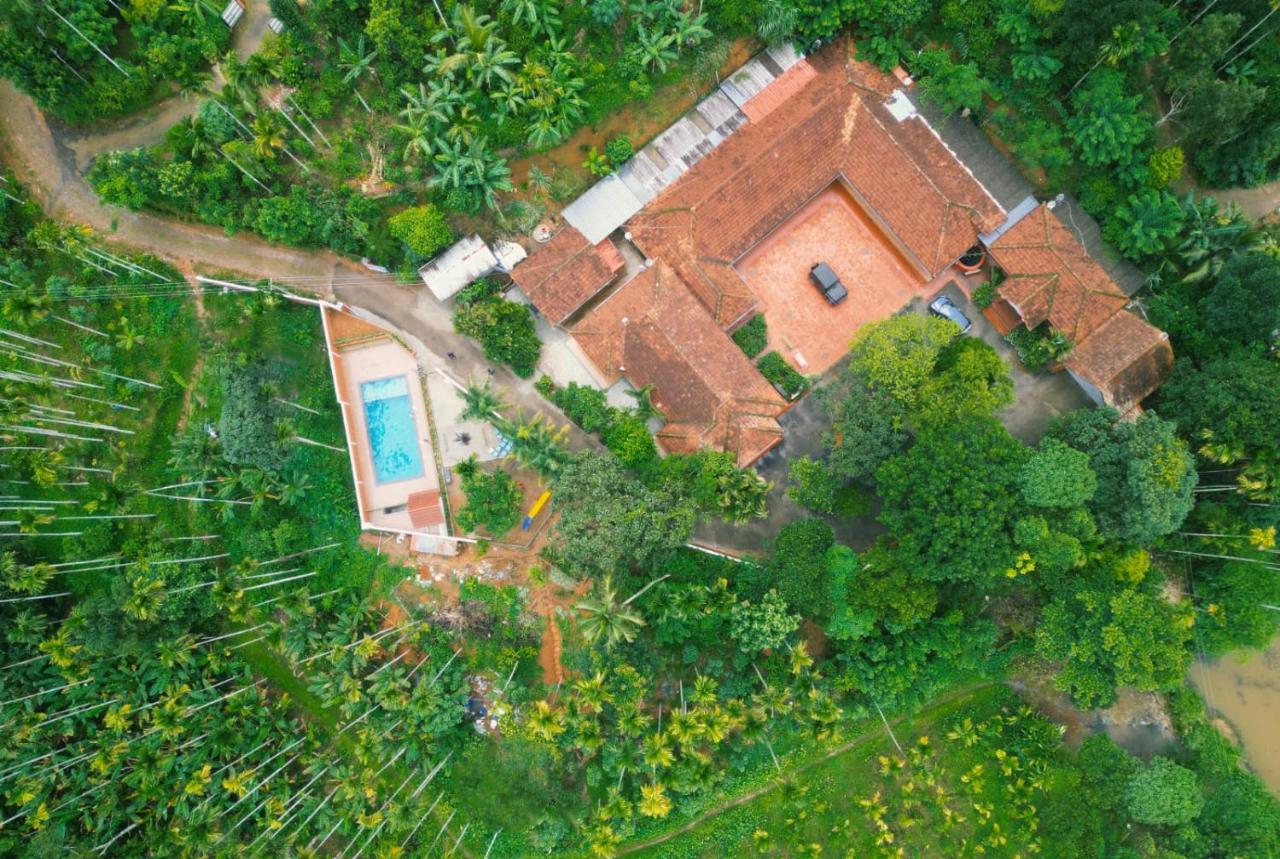 Kudajadri Drizzle Homestay - B&B