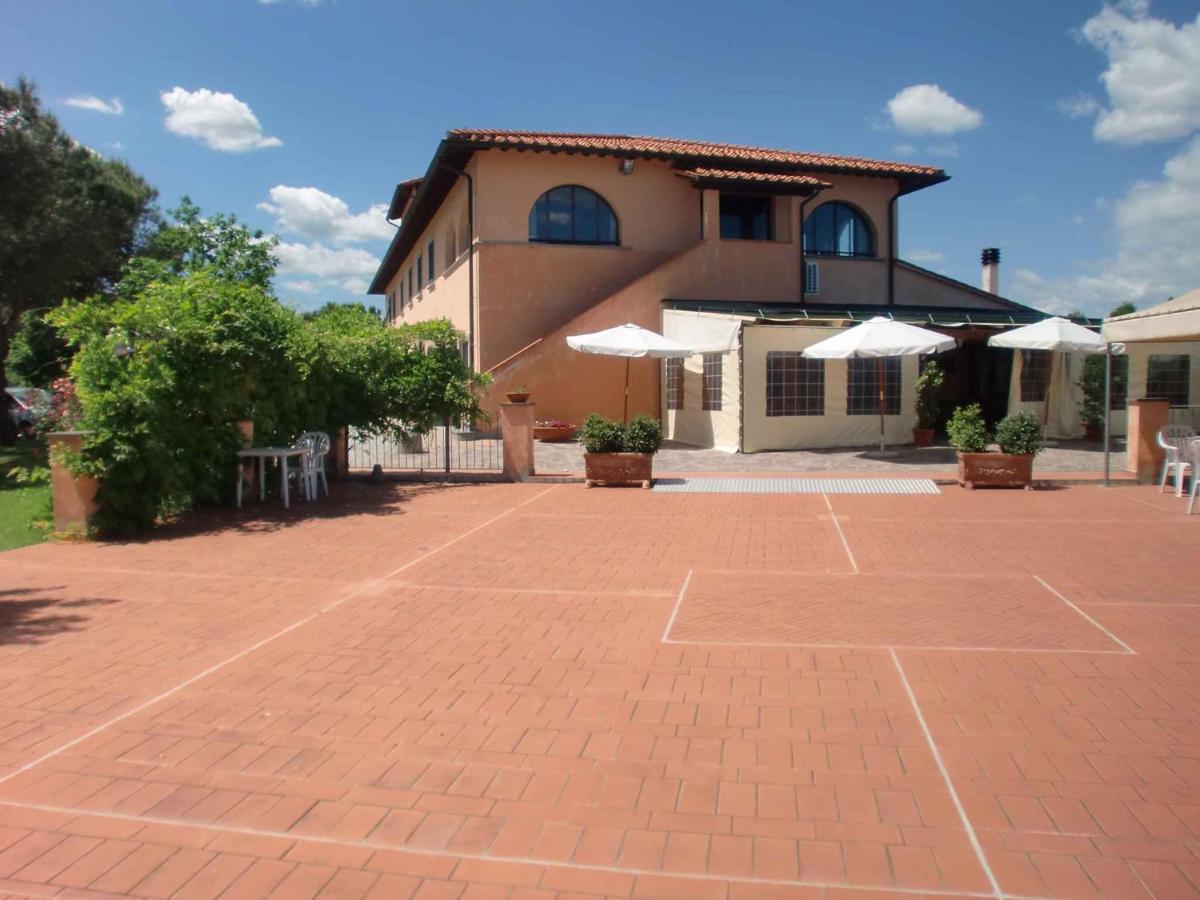 Apartments in Cerreto Guidi - Toskana 23873 - Ferienwohnung Cerreto Guidi