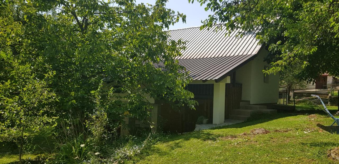Mirni kutak - B&B Donje Pazarište