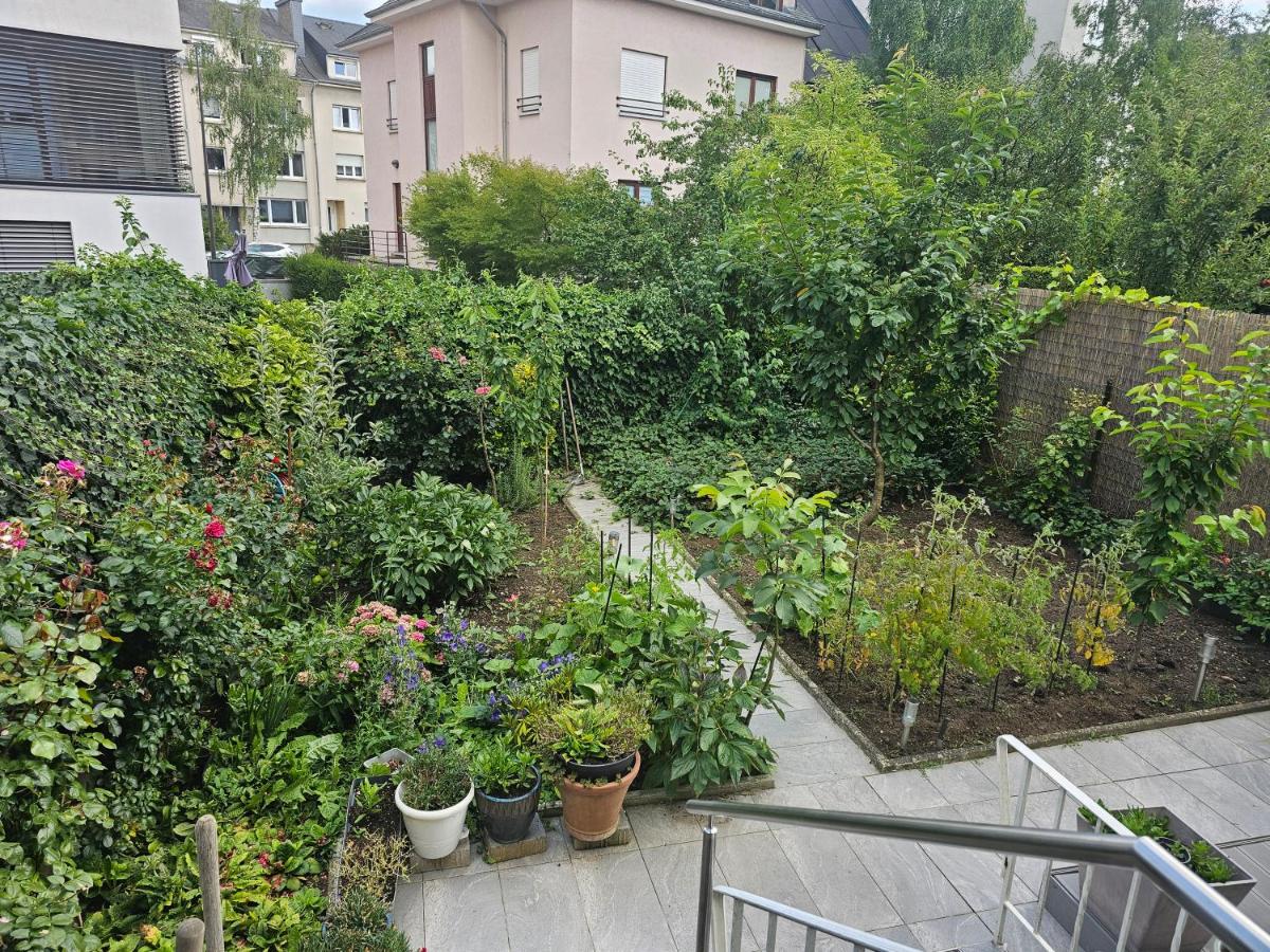 excellent apartement Luxembourg - B&B Luxembourg