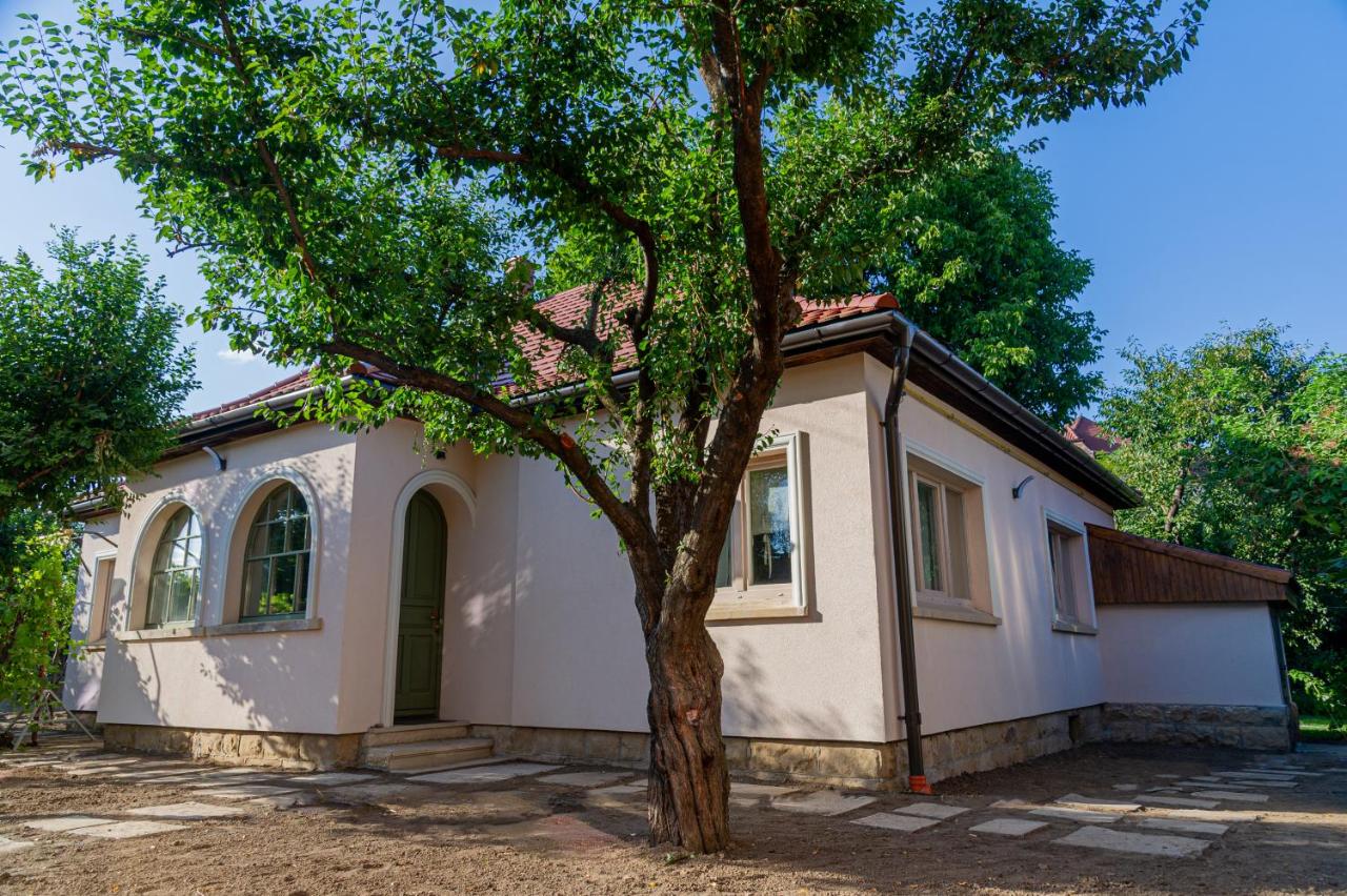 Stone House - Ferienwohnung Târgu Secuiesc