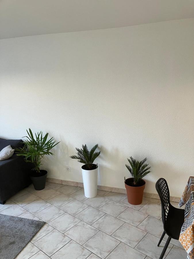 Grand appartement centre ville château St Pierre - Ferienwohnung Saumur