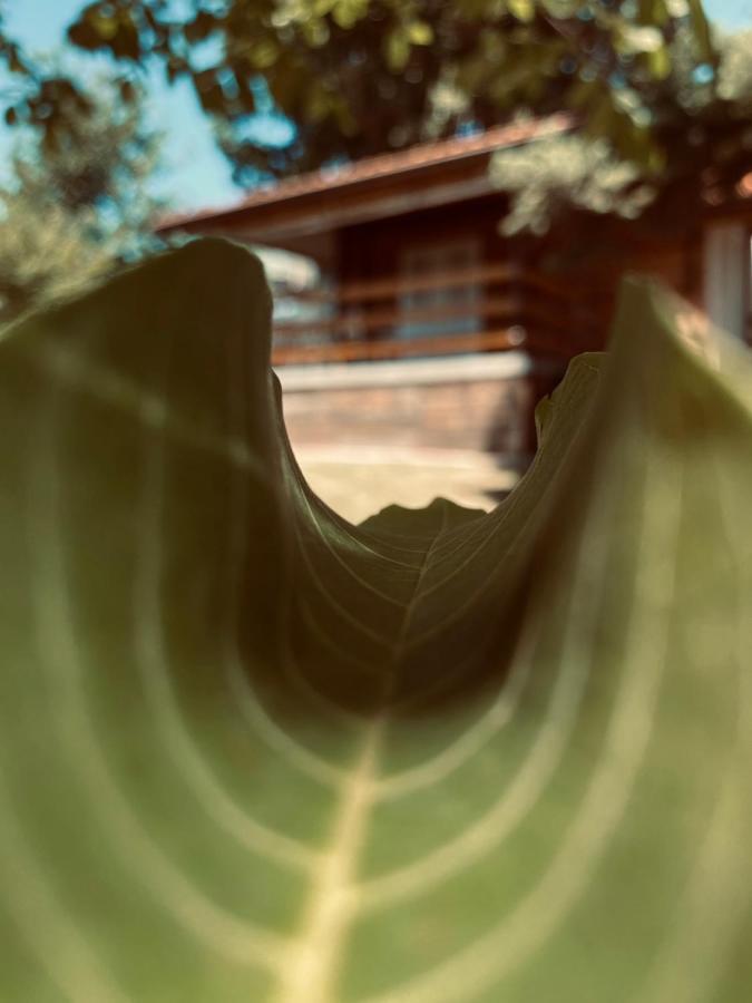 HELONA - B&B Aranđelovac